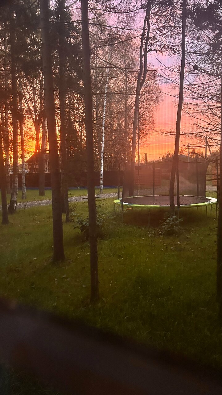 Закат в лесу