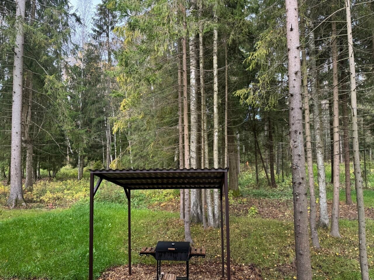 Мангальная зона