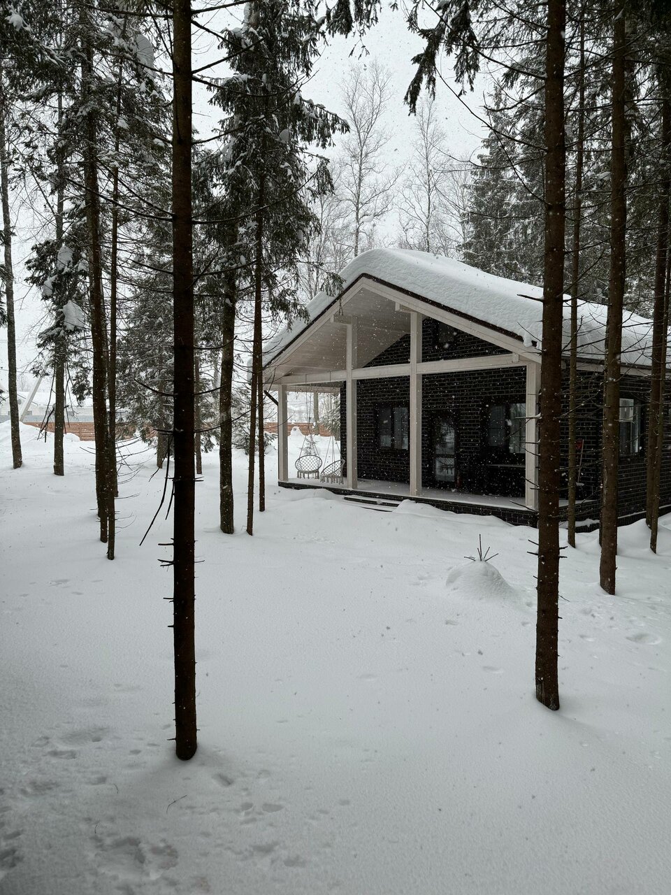 Дом Forest House зимой